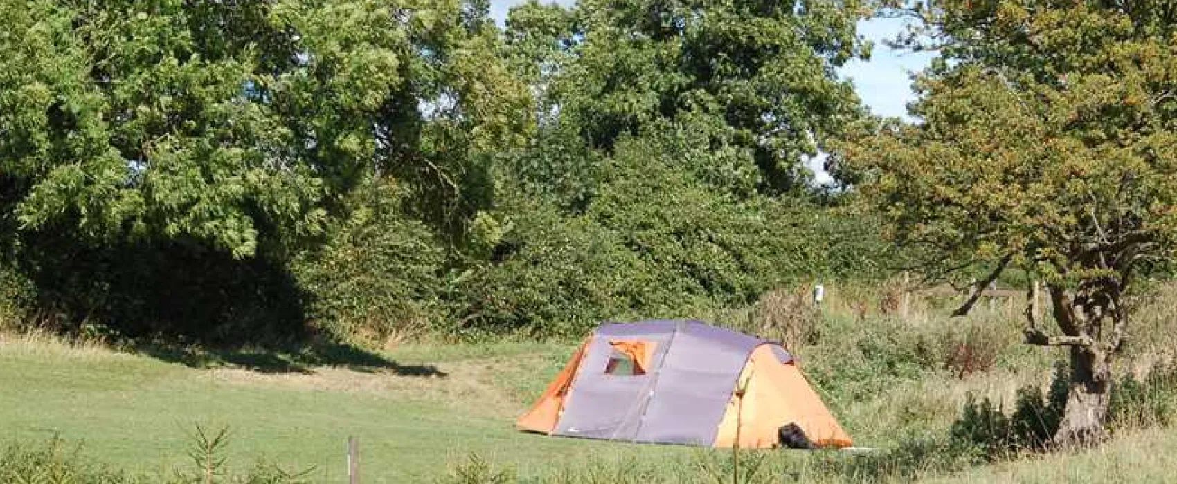 Mousley House Farm Campsite and Glamping