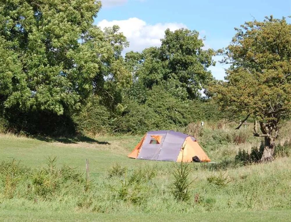 Mousley House Farm Campsite and Glamping
