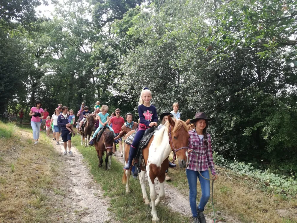 Domaine la Mathoniere