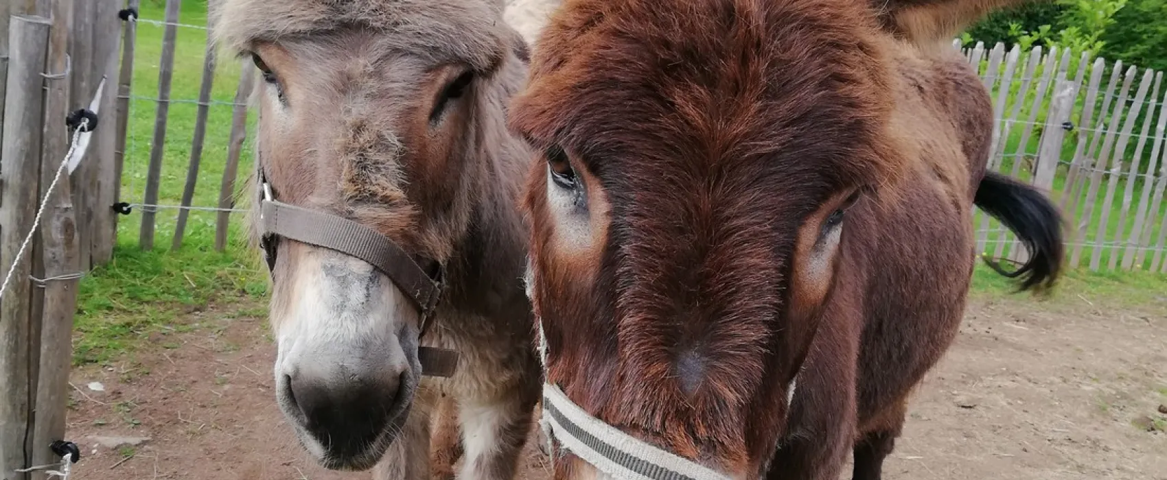 Domaine la Mathoniere