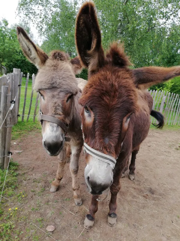 Domaine la Mathoniere