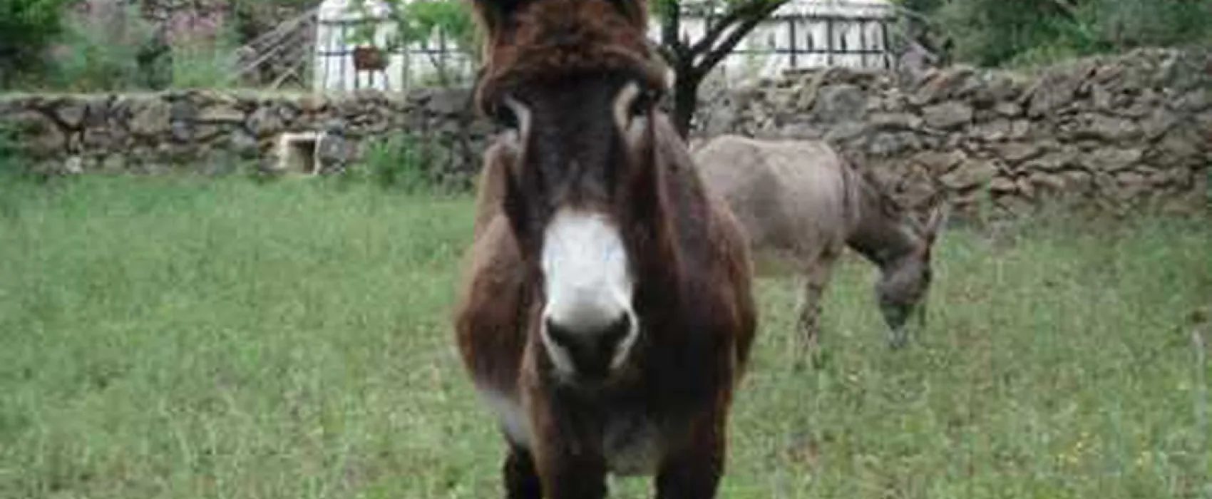 Refugio Marnes - La Jaima