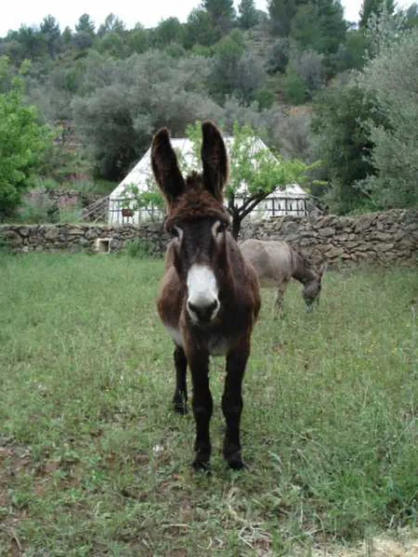 Refugio Marnes - La Jaima