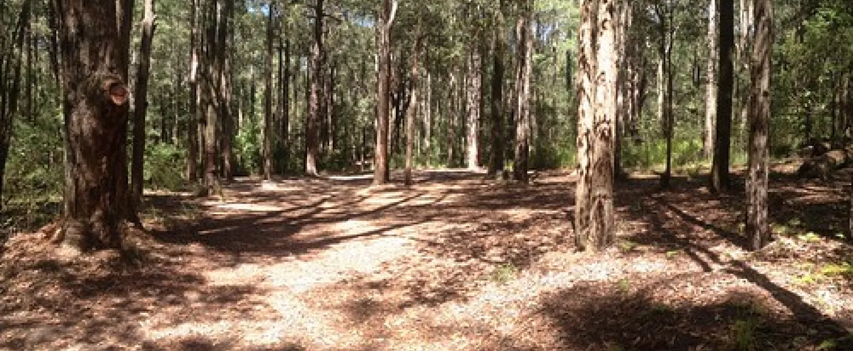 The Pines Campground