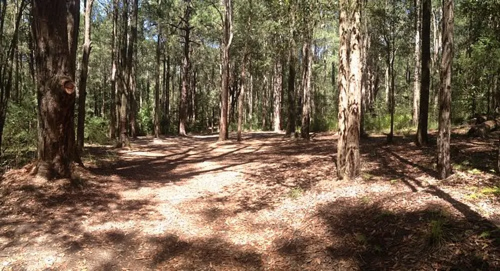 The Pines Campground