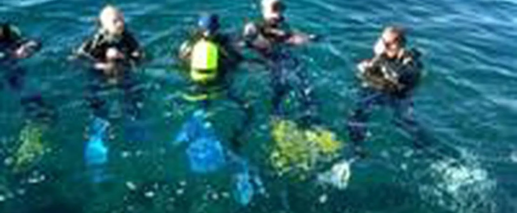 Knarreborg Mølle Camping