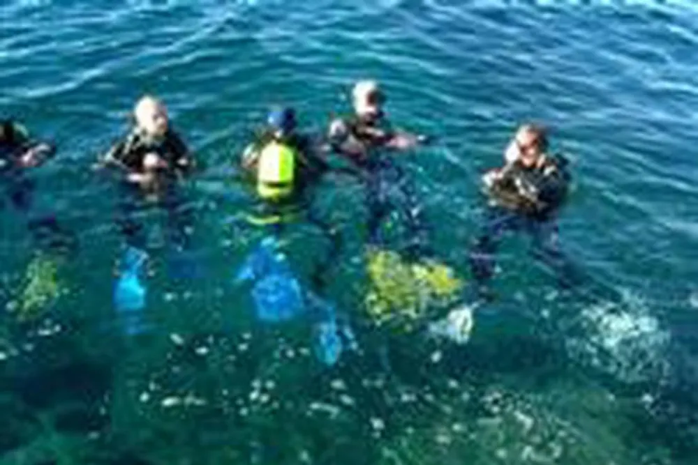 Knarreborg Mølle Camping