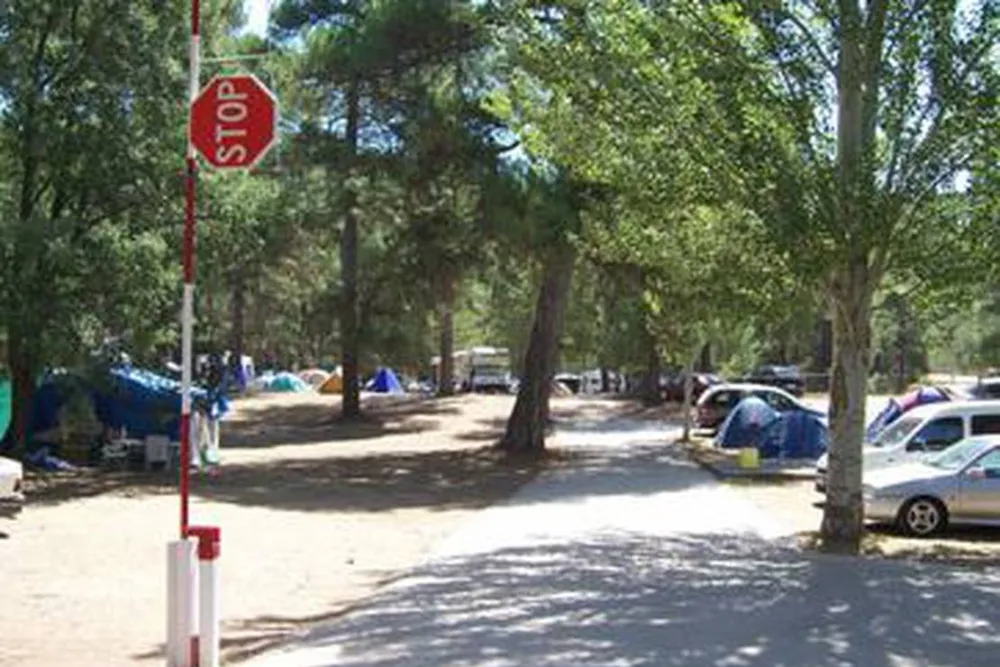 Camping la Dehesa De Cañamares