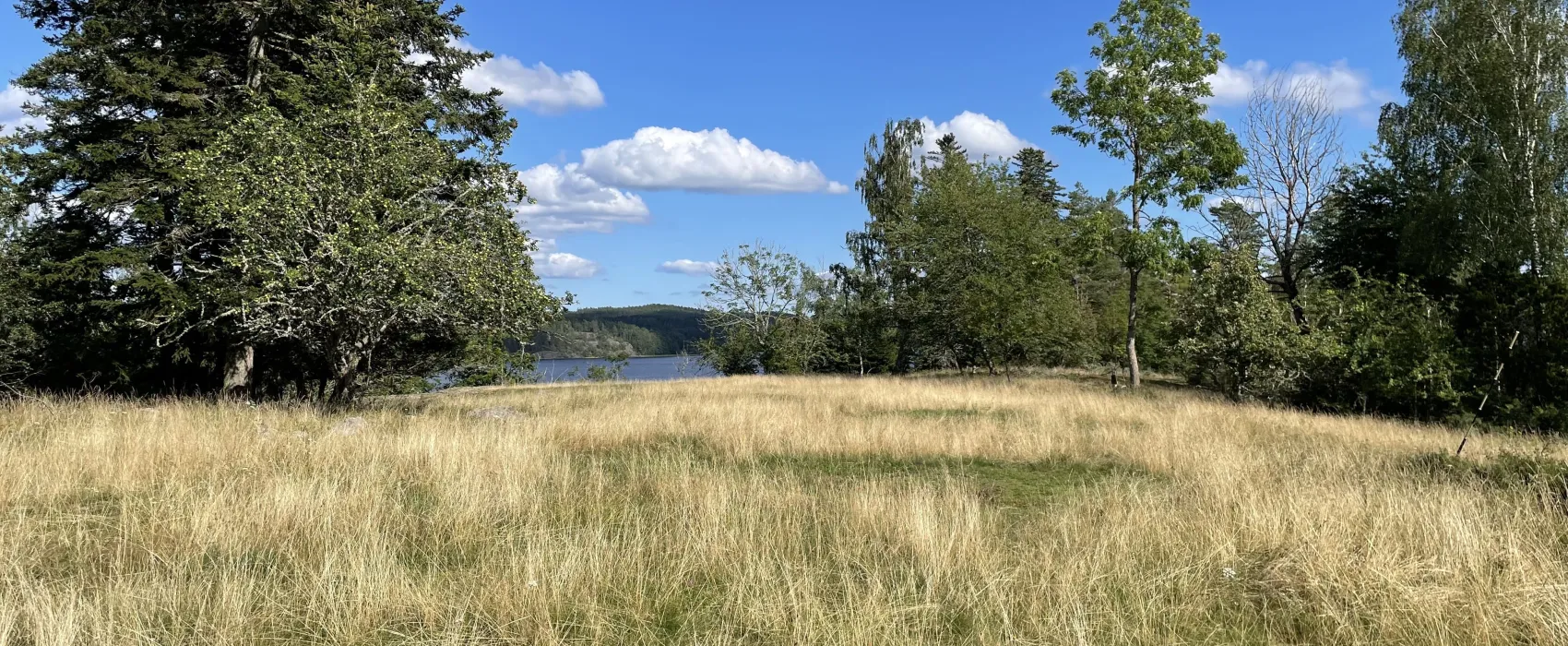 Tegelviken Naturcamping