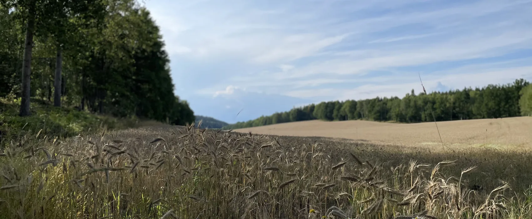 Tegelviken Naturcamping