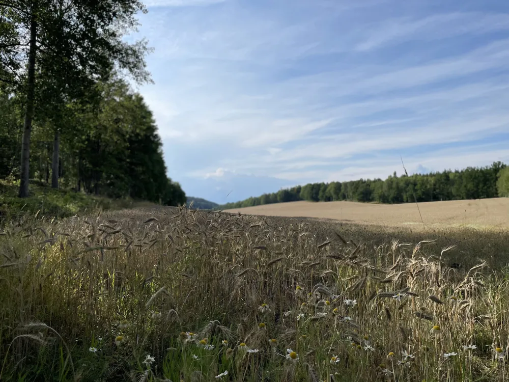 Tegelviken Naturcamping