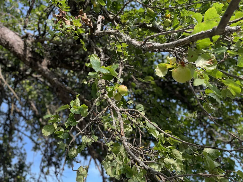 Tegelviken Naturcamping