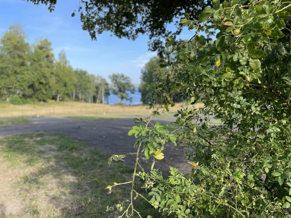 Tegelviken Naturcamping