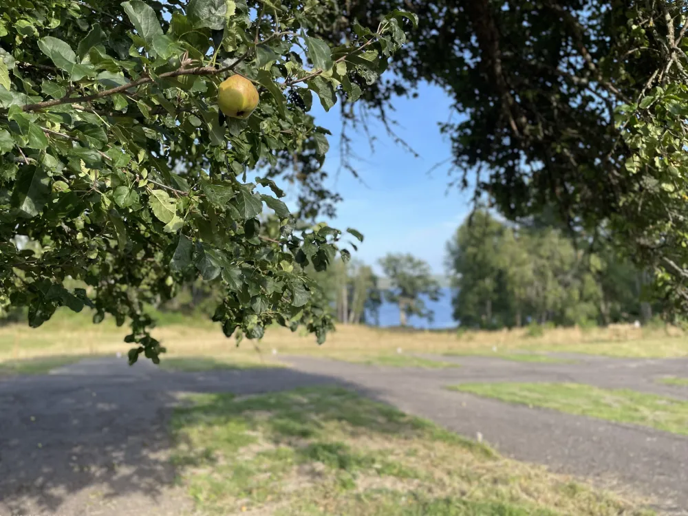 Tegelviken Naturcamping