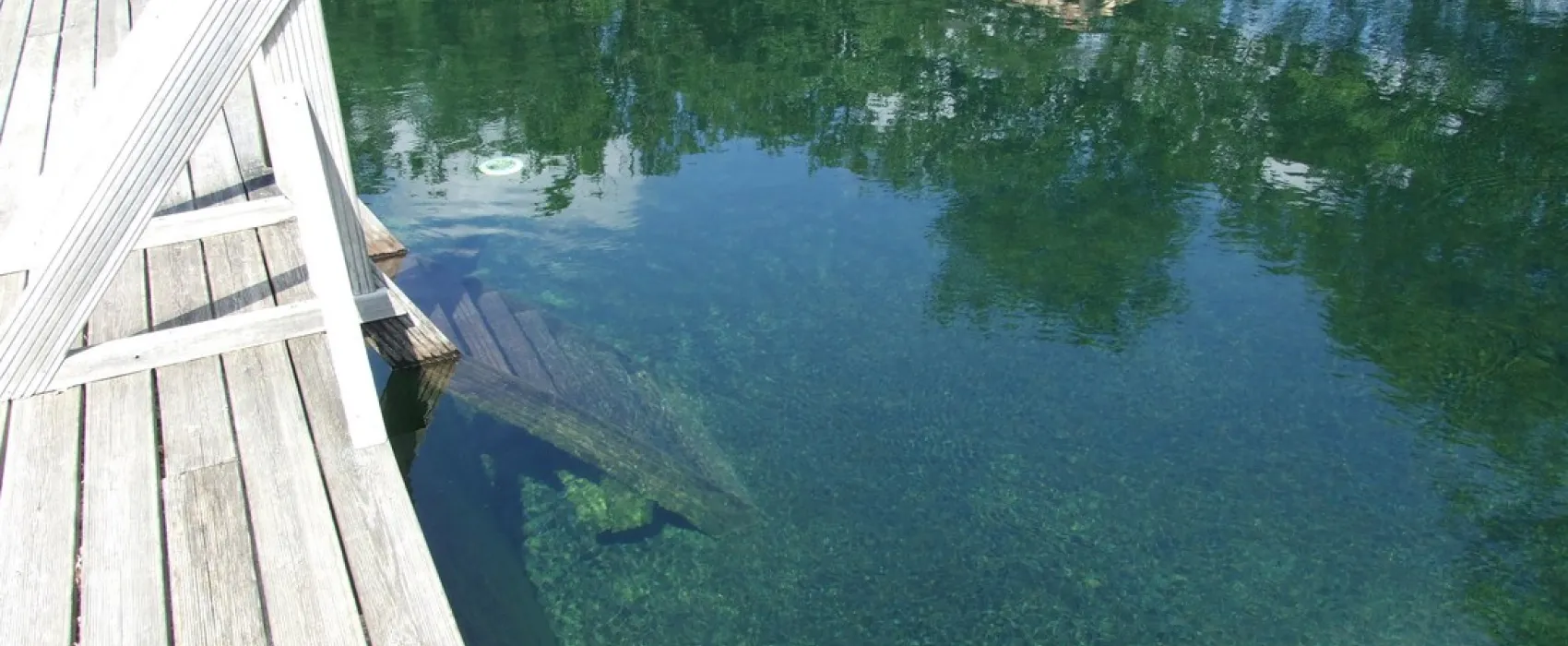 Minicamping Petits-Fours (+vakantiehuisjes)