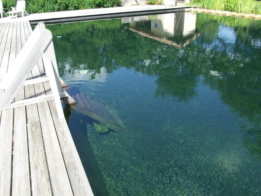 Minicamping Petits-Fours (+vakantiehuisjes)