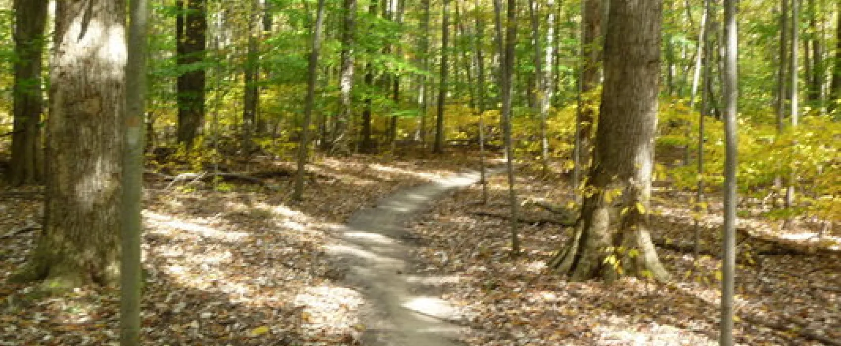 Findley State Park Campground