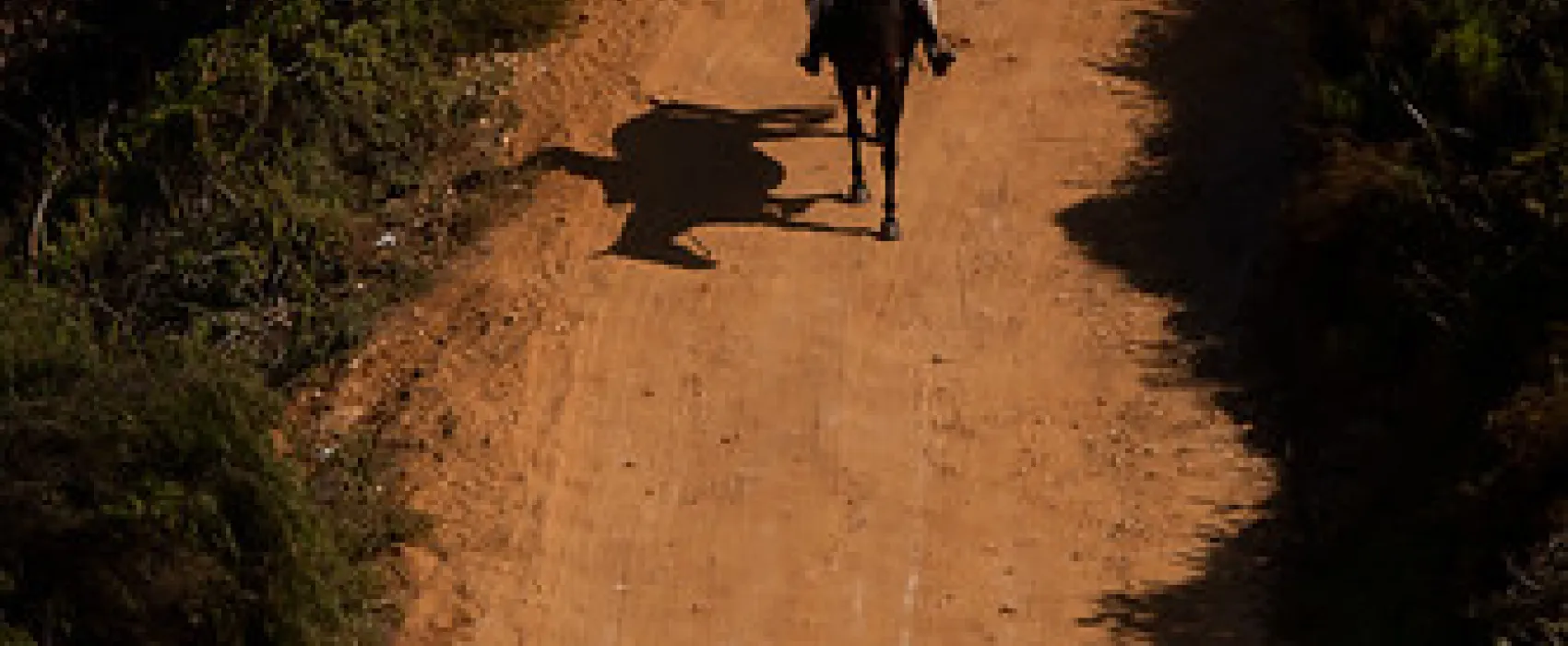 Torbay Inlet Campground