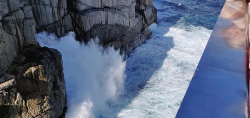 Torbay Inlet Campground