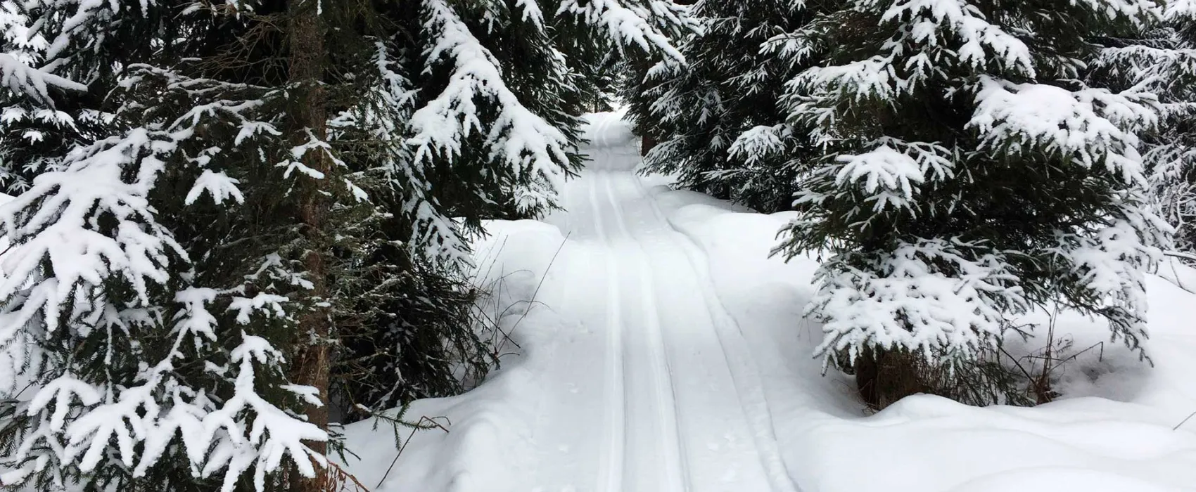 Wanha Koulu Tahkovuori