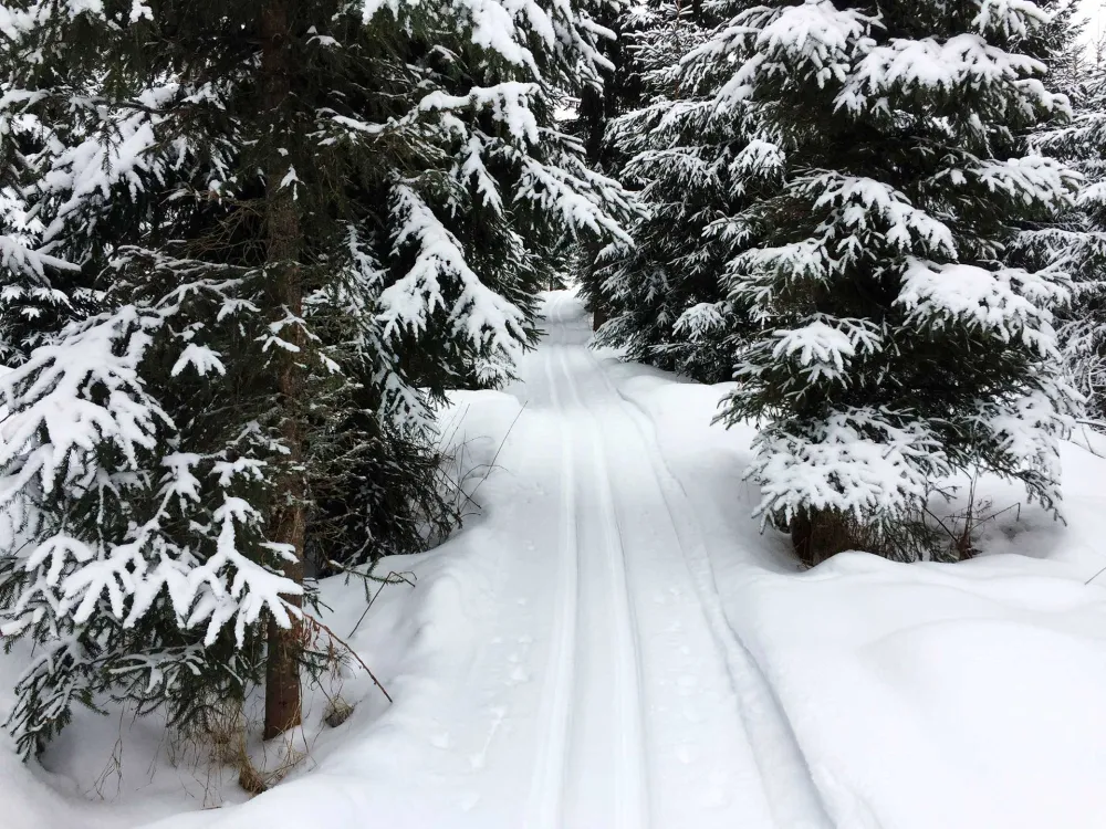 Wanha Koulu Tahkovuori