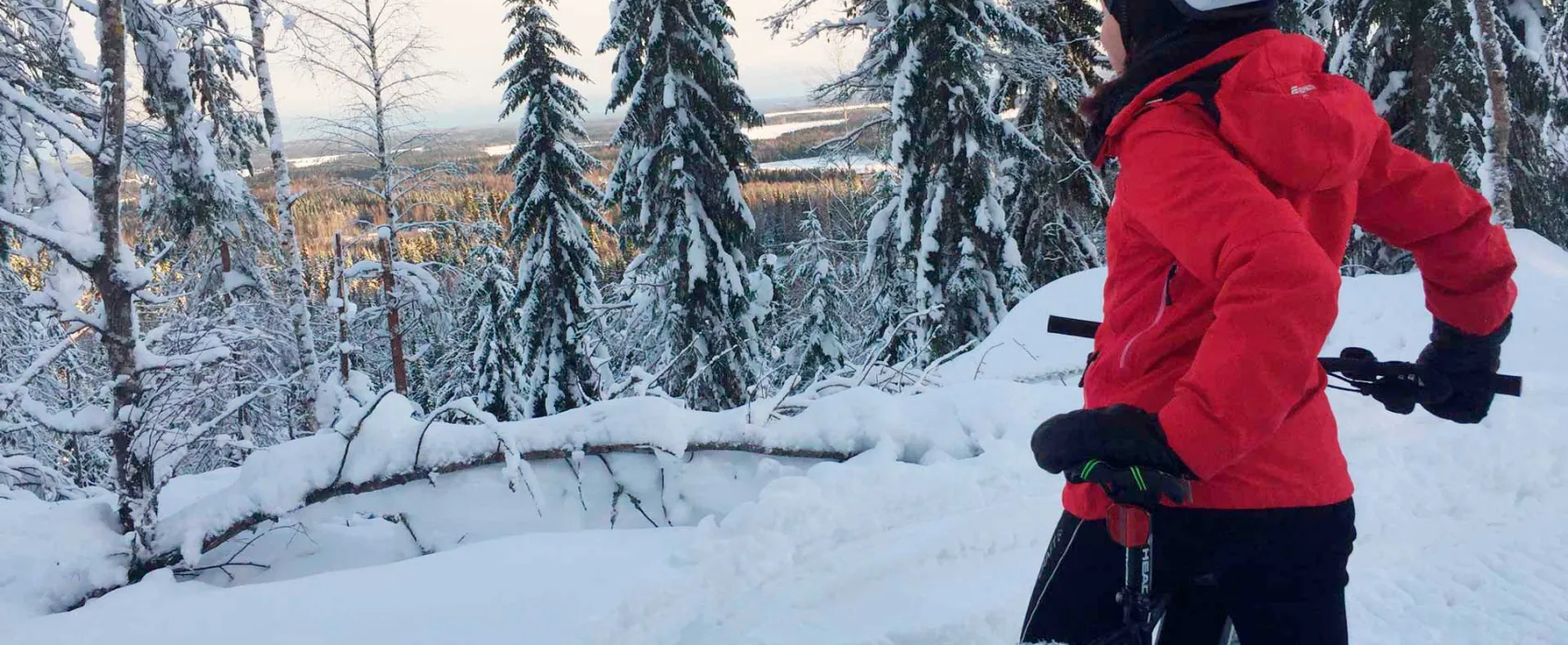 Wanha Koulu Tahkovuori