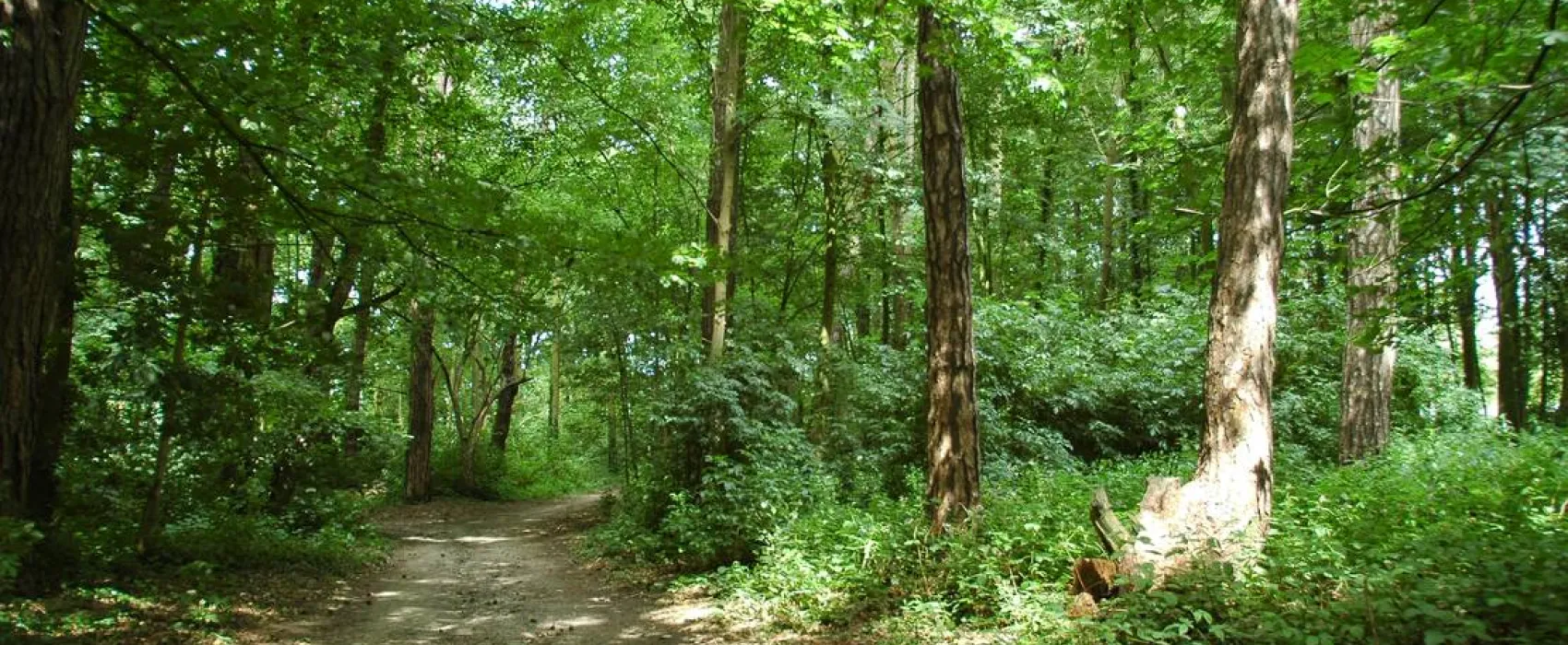 Camping Château Du Gandspette