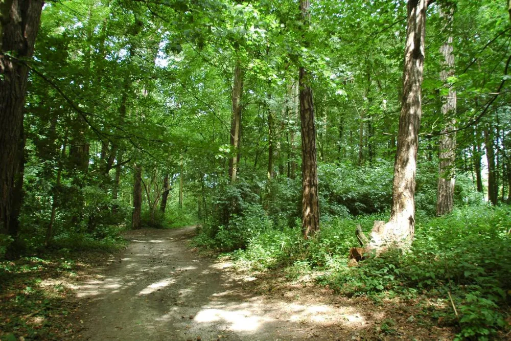 Camping Château Du Gandspette