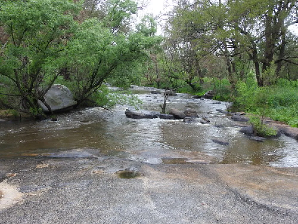 Flat Rock Campground