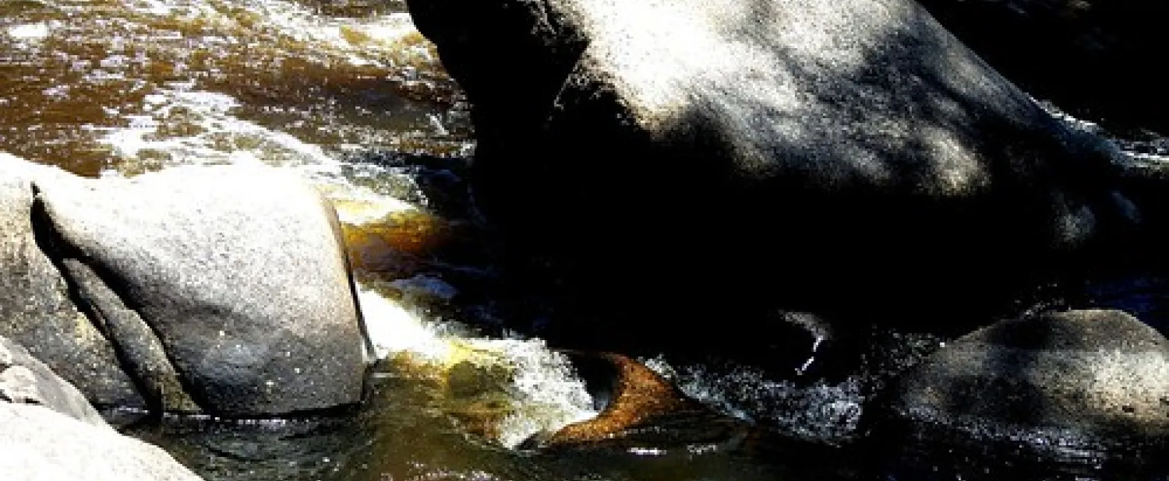 Flat Rock Campground