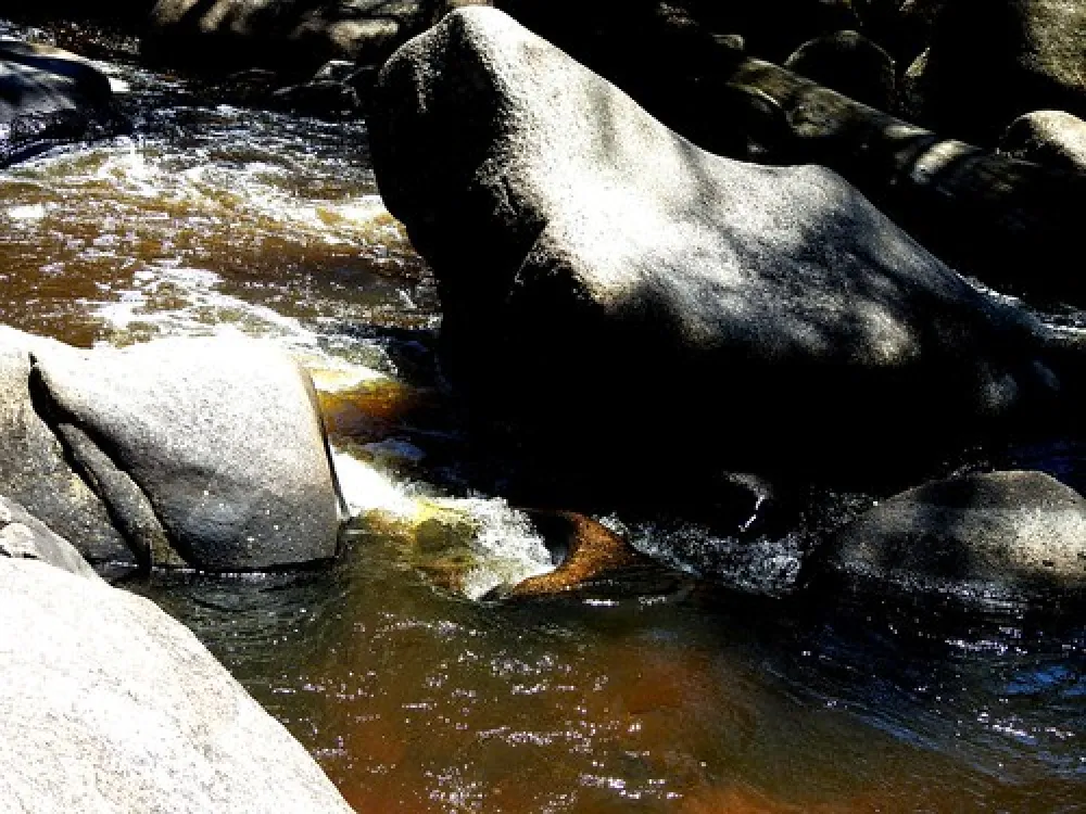 Flat Rock Campground