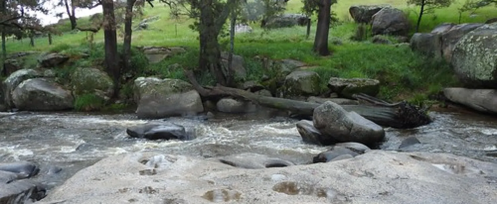 Flat Rock Campground