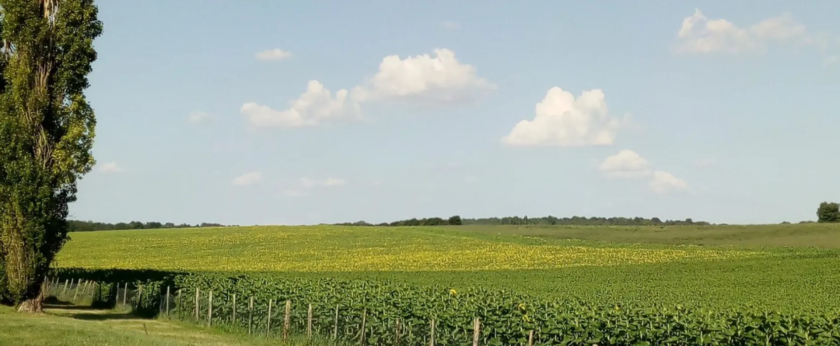 Château de la Rolandière
