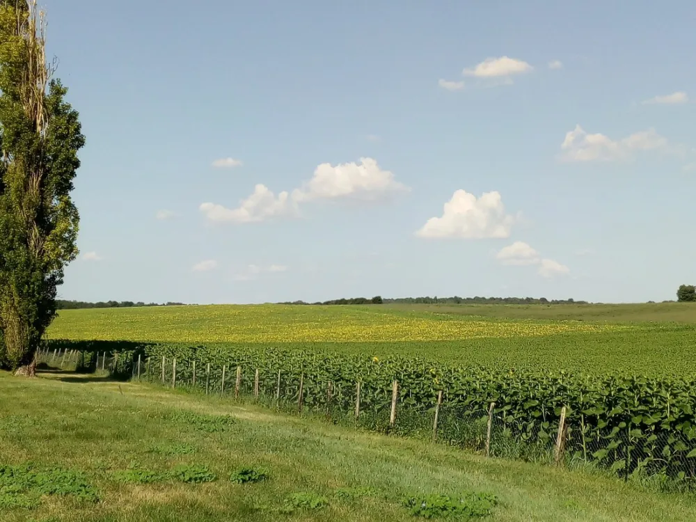 Château de la Rolandière