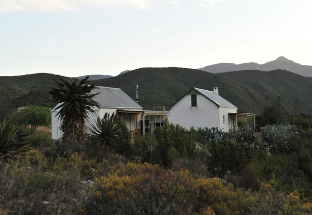 Matjiesvlei Guest Farm