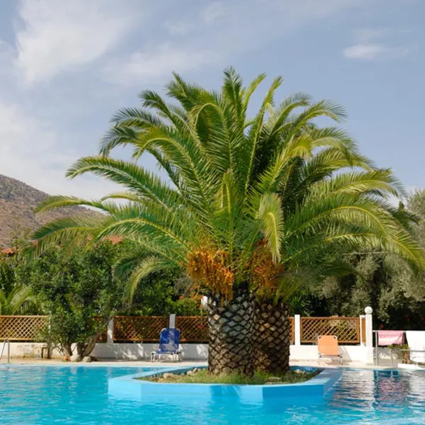 No Problem - Main photo