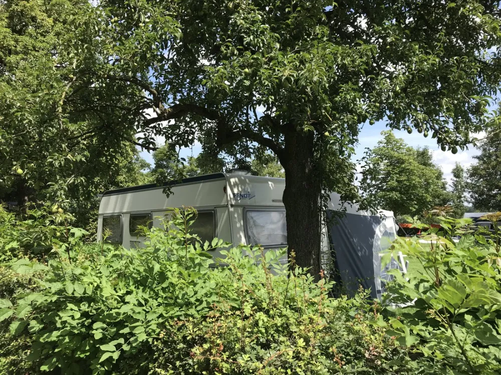 Boerderijcamping Groenendaal