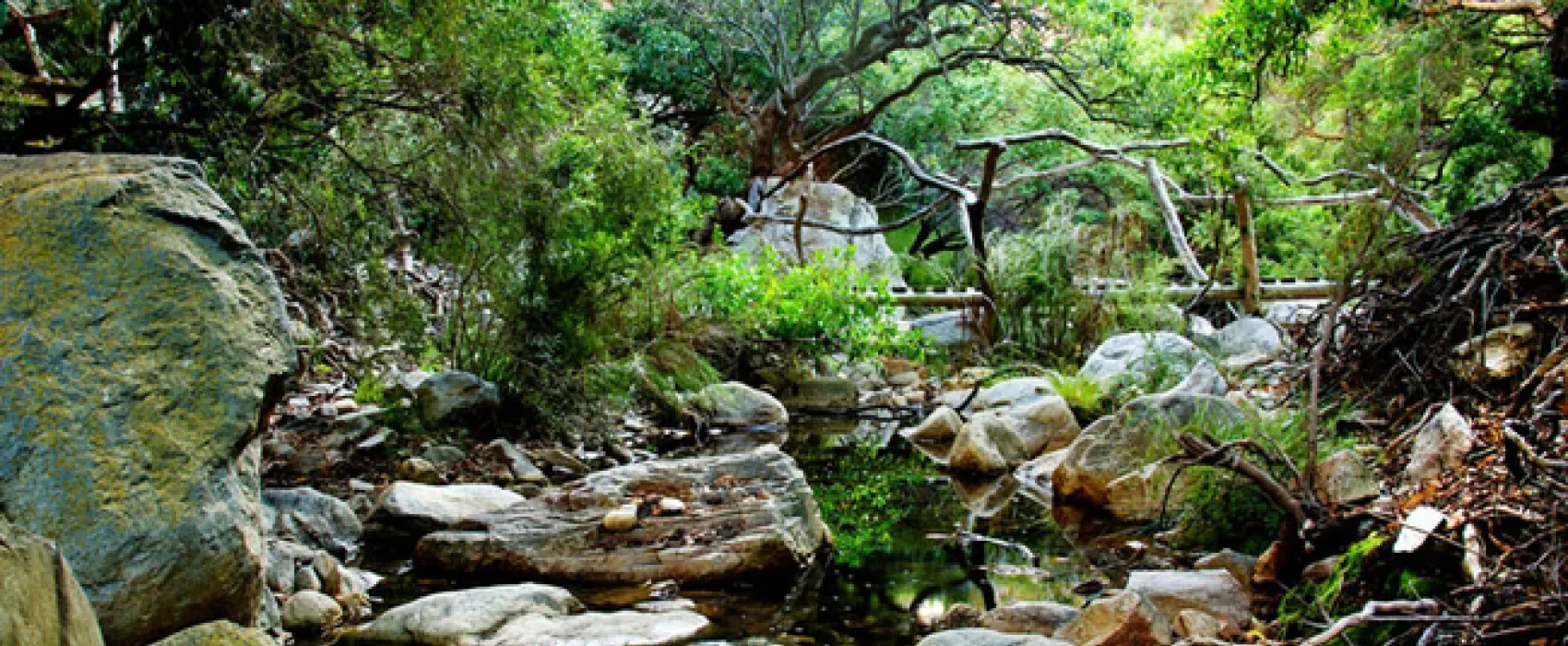 Kleinrivier Wilderness