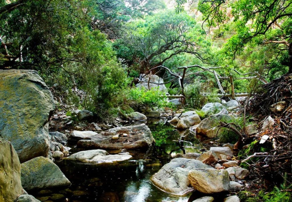 Kleinrivier Wilderness