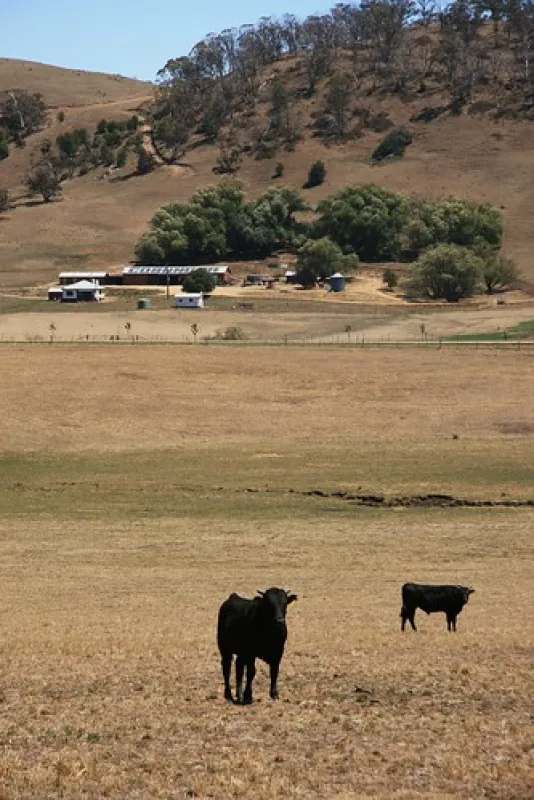 Victoria Falls Campground