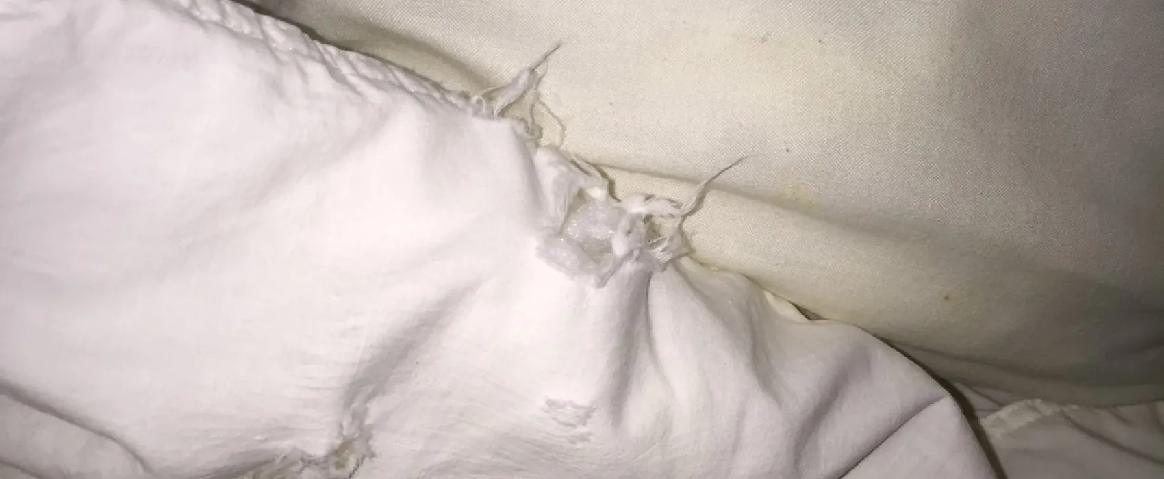 Domaine De Pleine Air Élysée