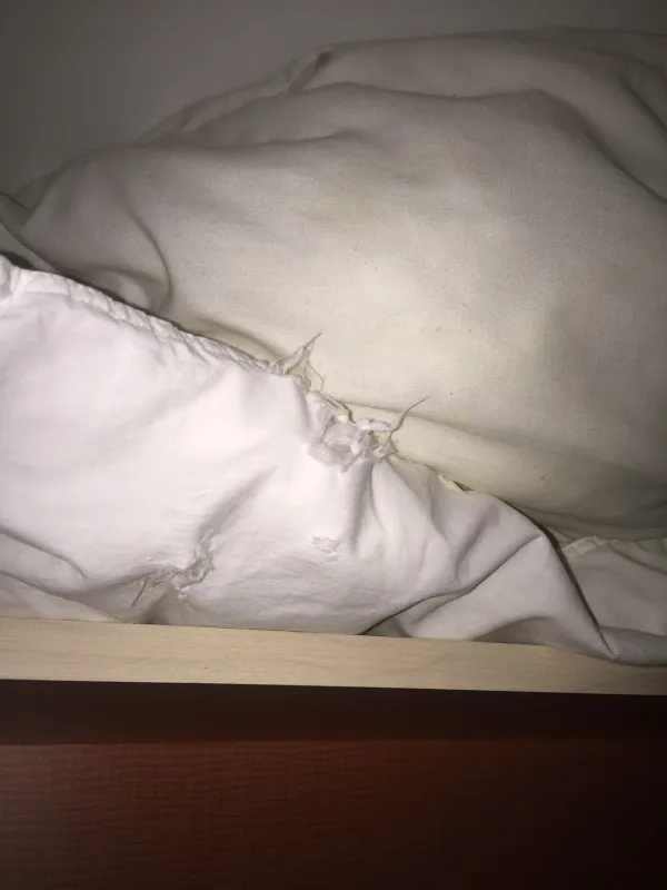 Domaine De Pleine Air Élysée