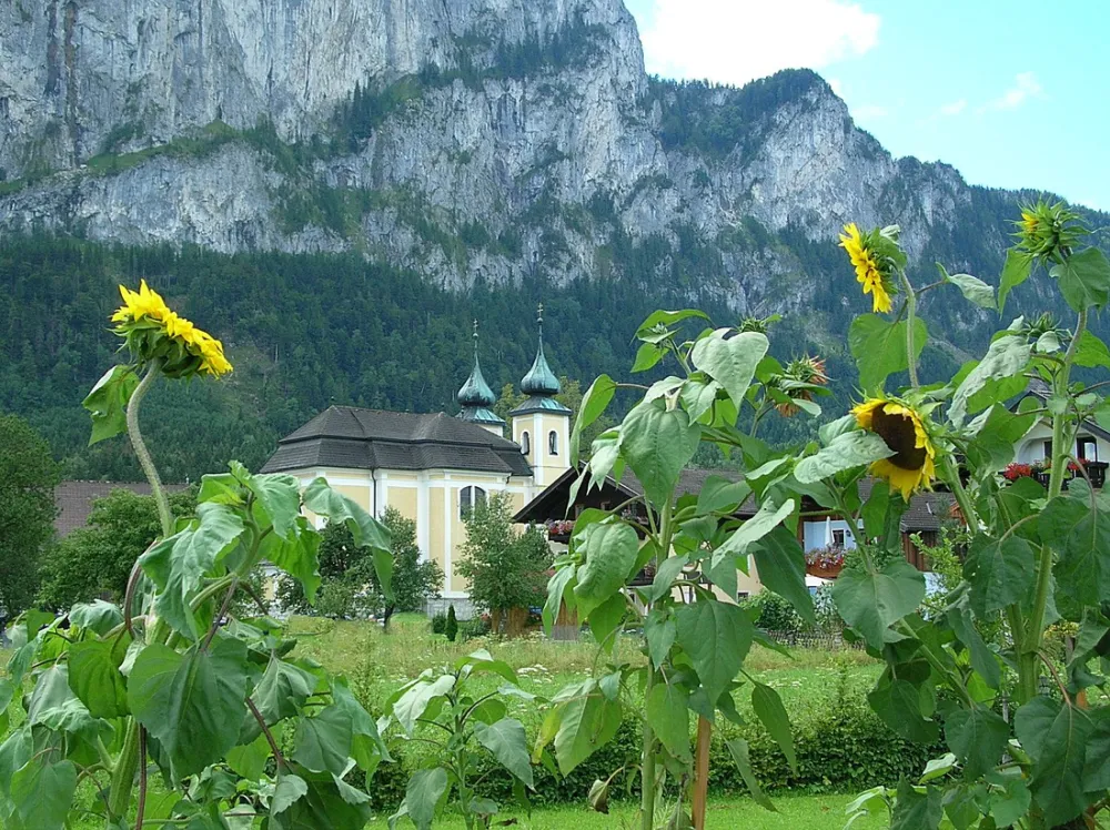Nussbaumer Gries Plomberg