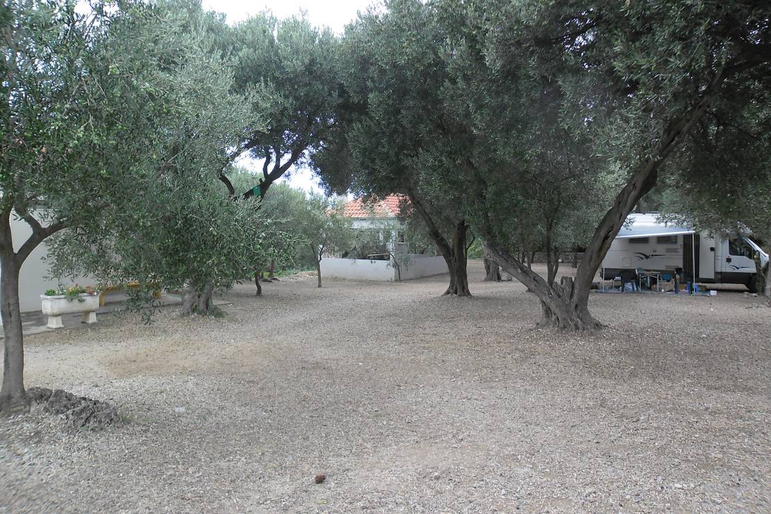 Autokamp Luka photo 3