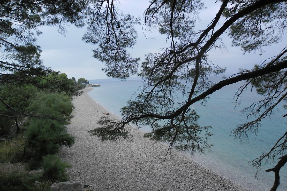 Autokamp Luka photo 4