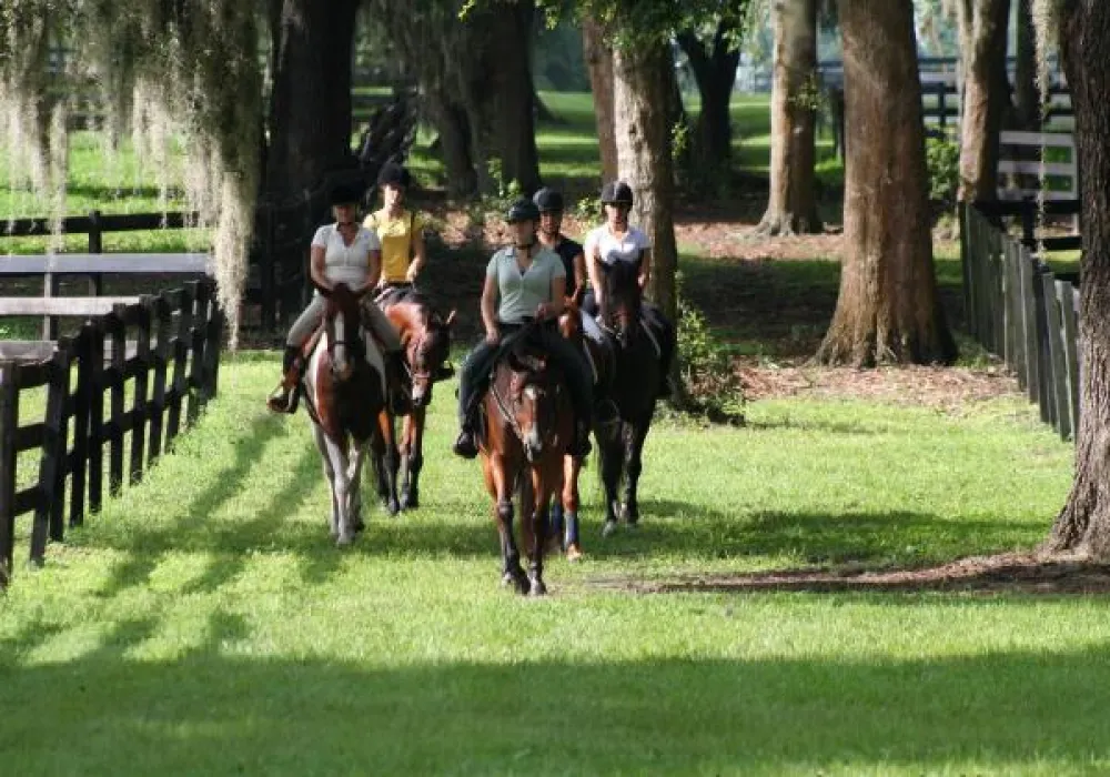 Grand Oaks RV Resort & Museum