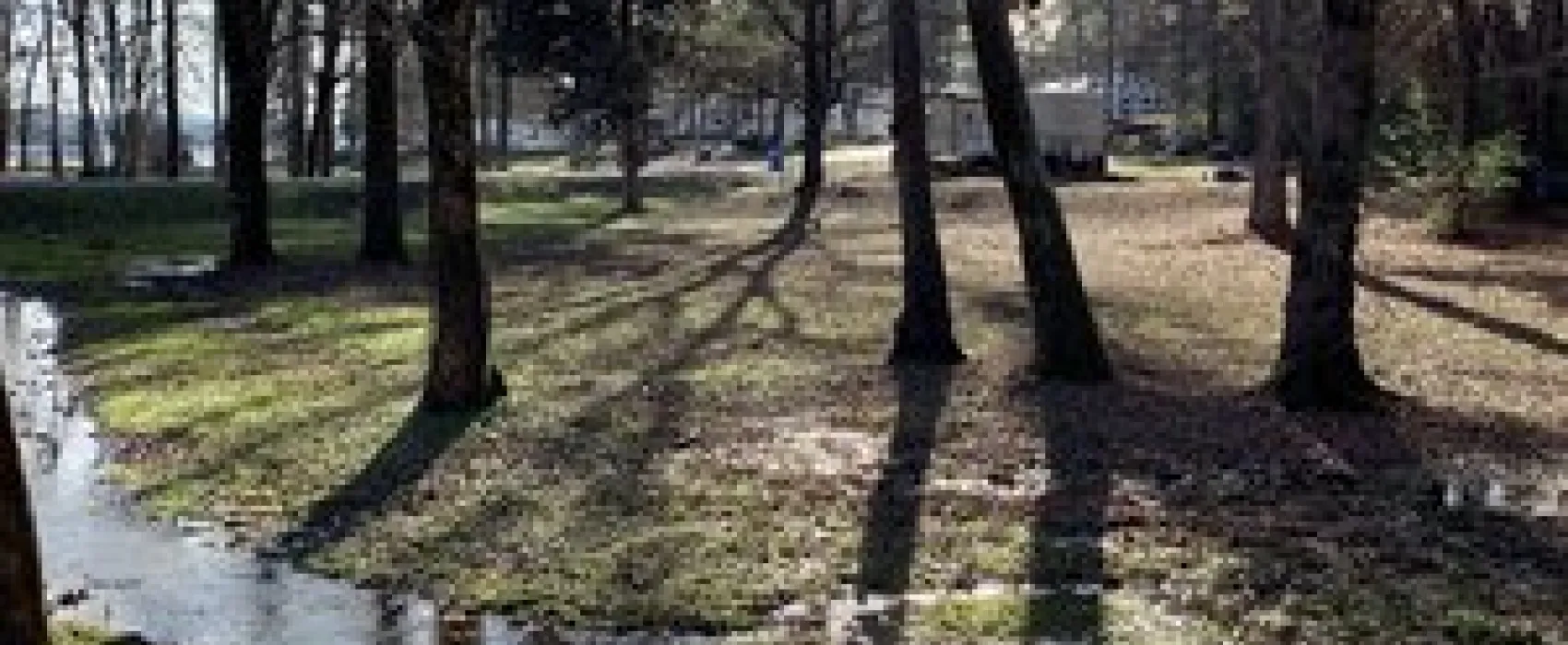 Goose Pond Colony Campground