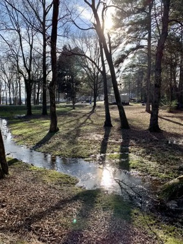 Goose Pond Colony Campground