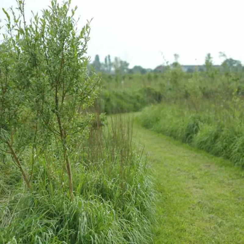 Naturistencamping Grensland