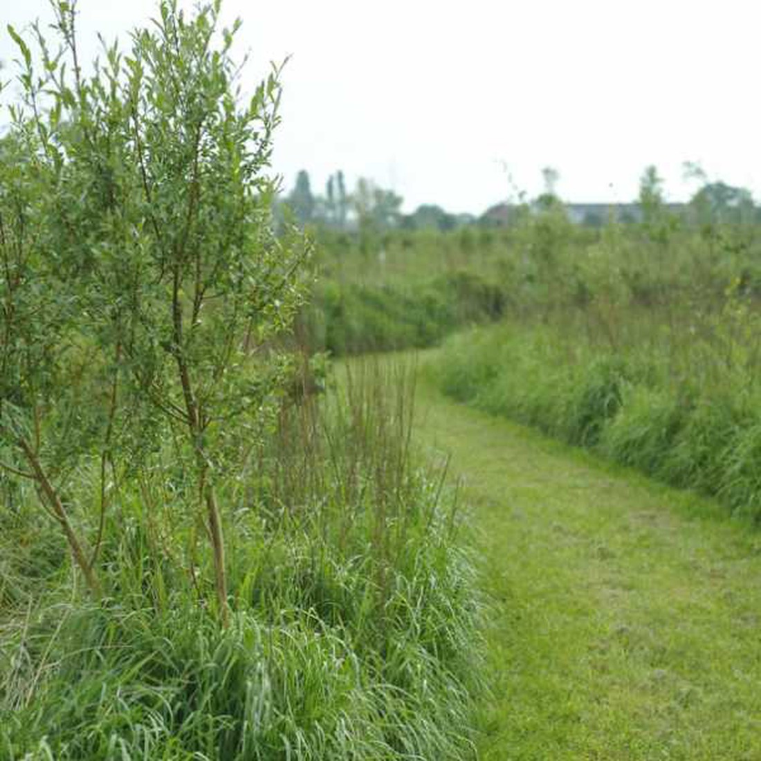 Naturistencamping Grensland - Photo 2